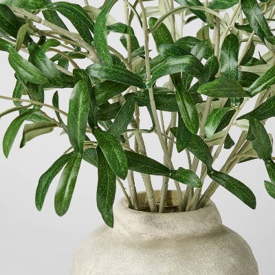 Olive Leaf Potted Arrangement - Threshold™ Designed With Studio McGee