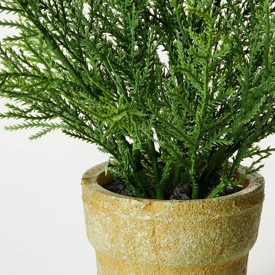 Small Potted Cyprus - Threshold™ Designed With Studio McGee