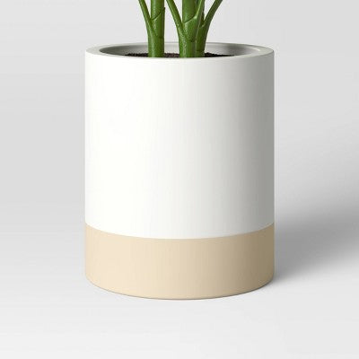 Large Variegated Plant - Threshold™