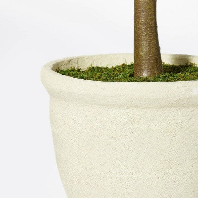 Ficus Tree - Threshold™ Designed With Studio McGee