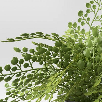  Small Fern In Modern Pot Maiden Hair Arrangement - Threshold™