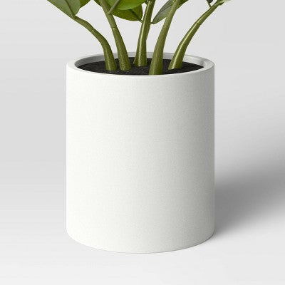  Small ZZ Plant - Threshold™