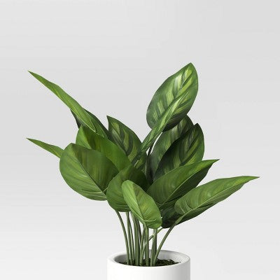 Green Plant In Plant Stand - Threshold™