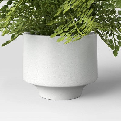  Small Fern In Modern Pot Maiden Hair Arrangement - Threshold™