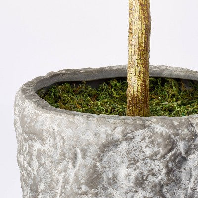  Banyan Tree Potted - Threshold™ Designed With Studio McGee