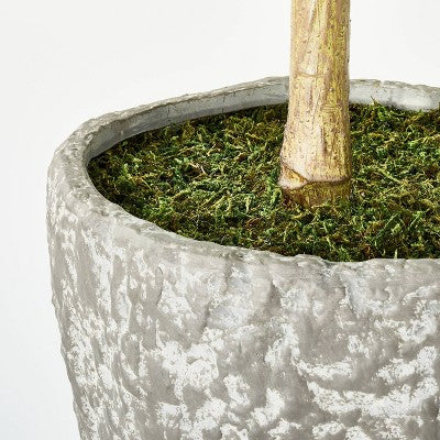  Banyan Leaf Potted Tree - Threshold™ Designed With Studio McGee