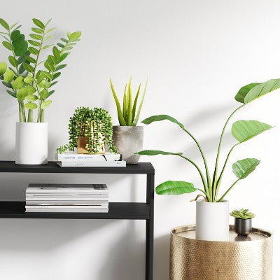  36" X 26" Artificial Travelers Banana Leaf In Pot - Threshold™