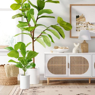  Large Fiddle Leaf Potted - Threshold™