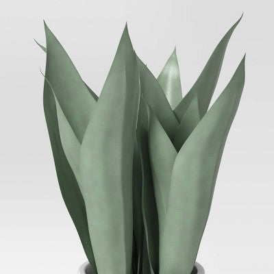  Small Snake Plant In Plant Stand - Threshold™
