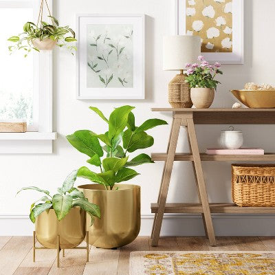  Brass Stand Planter - Threshold™